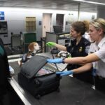 This 2017 photograph depicted a Centers for Disease Control and Prevention (CDC) Quarantine Station, Public Health Officer, as she was conducting inspections of CDC-regulated items. This type of activity takes place at 18-United States international airports, and land ports of entry, where most international travelers arrive. In this image, captured at Chicago’s O’Hare International Airport, Enya, a Customs and Border Protection (CBP) dog, had sniffed out a possible banned item in baggage claim.