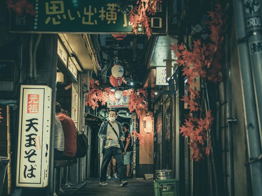 Omoide Yokocho (or Memory Lane) known as